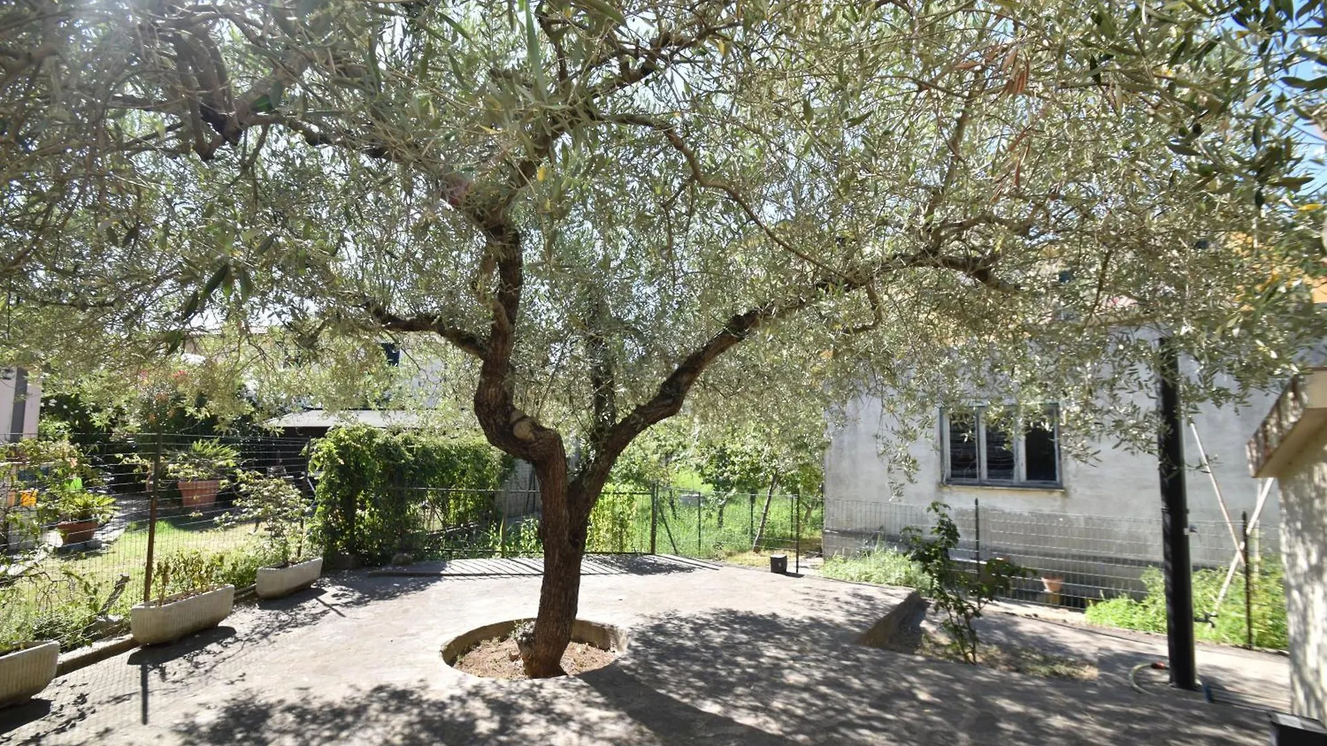 Apartmán Bilocale Marina - Terrazza, Clima E Giardino Marina di Campo Itálie